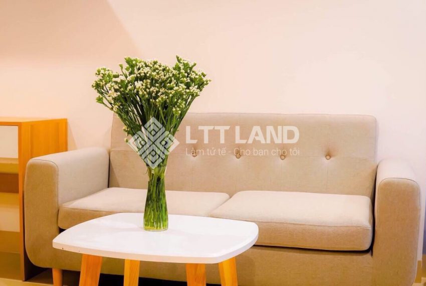 Apartment-for-rent-in-Cam-Le-Da-Nang-LTTLAND (3)