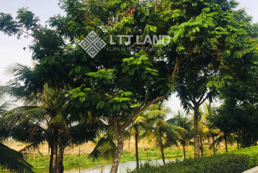 bán lô đất đẹp-fpt-city-đà nẵng-lttland (2)