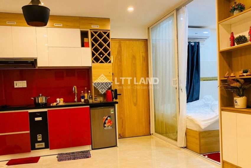 LTTLAND-apartment-for-rent-in-Son-tra-of-Da-Nang (3)