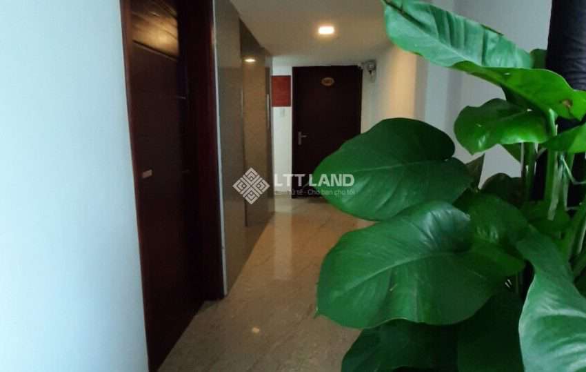 LTTLAND-apartment-for-rent-in-ngu-hanh-son-of-da-nang (6)