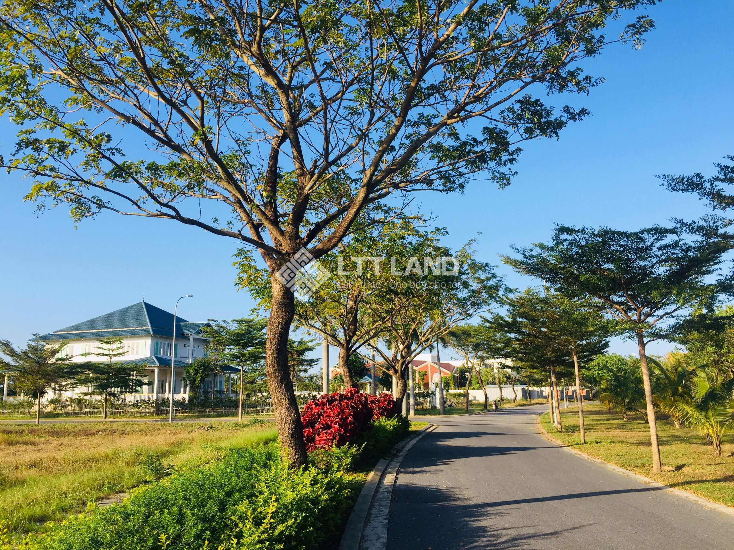 180m2-gia-day-thi-truong-lttland-fptcity (4)